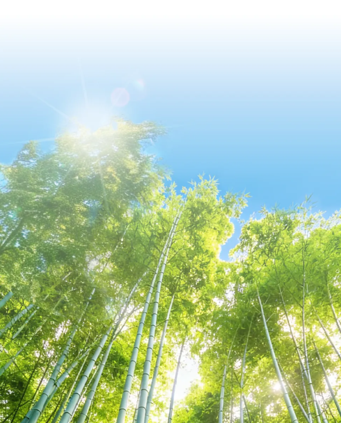 精研深耕，蓄力新程