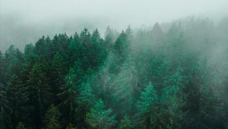 Reduce operational carbon emissions